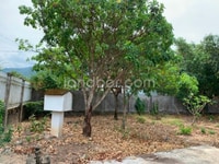 Bán nhà đất 1386m2 xã Xuân Thọ 300m2 thổ cư Bán nhà đất 1386m2 xã Xuân Thọ 300m2 thổ cư