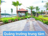 Nhà phố Liền kề ven sông vàm cỏ đông Nhà phố Liền kề ven sông vàm cỏ đông