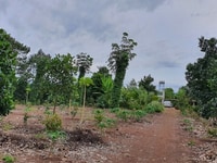 Cần bán lô đất vườn xã Hưng Lộc, huyện Thống Nhất, Tỉnh Đồng Nai Cần bán lô đất vườn xã Hưng Lộc, huyện Thống Nhất, Tỉnh Đồng Nai