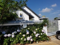 Bán homestay villa Tía Dú 760m2 căn góc sổ hồng view toàn cảnh Bán homestay villa Tía Dú 760m2 căn góc sổ hồng view toàn cảnh