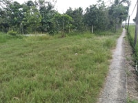 Chủ bán 1000m2 đất lúa lên thổ 100% tại Cần Đước Chủ bán 1000m2 đất lúa lên thổ 100% tại Cần Đước