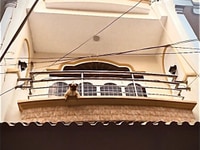 Bán một căn duy nhất giá tốt mặt tiền Trần Bá Giao Bán một căn duy nhất giá tốt mặt tiền Trần Bá Giao