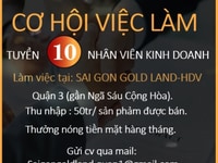 Tuyển Nhân Viên Làm Việc Tại Văn Phòng Quận 3 Tuyển Nhân Viên Làm Việc Tại Văn Phòng Quận 3
