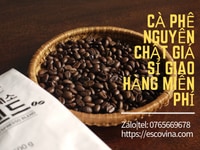 Cà phê hạt cung cấp giá sỉ 1 năm tại Đà Nẵng Cà phê hạt cung cấp giá sỉ 1 năm tại Đà Nẵng