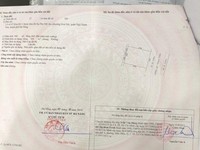 Bán lô đất Biệt Thự khu Phú Mỹ An 300 m2 giá sập hầm Bán lô đất Biệt Thự khu Phú Mỹ An 300 m2 giá sập hầm