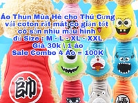 Áo mùa hè cho Boss, vải coton siêu mềm mịn,thun co giãn rất mát Áo mùa hè cho Boss, vải coton siêu mềm mịn,thun co giãn rất mát