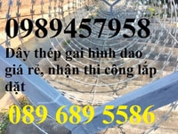 Dây kẽm lam, dây thép gai hình dao giá rẻ tại Hồ Chí Minh Dây kẽm lam, dây thép gai hình dao giá rẻ tại Hồ Chí Minh