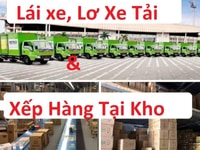 Tuyển dụng vị trí tài xế lơ xe phụ xếp hàng hoá ra vào kho Tuyển dụng vị trí tài xế lơ xe phụ xếp hàng hoá ra vào kho