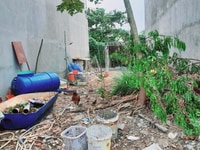 Cần bán lô đất sổ hồng riêng hỗ trợ vay ngân hàng 70% Cần bán lô đất sổ hồng riêng hỗ trợ vay ngân hàng 70%