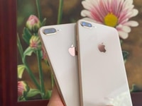 8plus dòng máy quốc dân - mà con keng zin nguyên 8plus dòng máy quốc dân - mà con keng zin nguyên