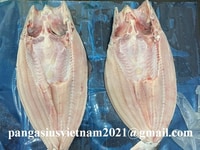 Pangasius Fillet, Pangasius Fillet Skin On, Pangasius Butterfly, Pang Pangasius Fillet, Pangasius Fillet Skin On, Pangasius Butterfly, Pang