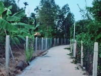 Chính chủ cần tiền bán gấp lô đất cây cổ thụ liên hoa Chính chủ cần tiền bán gấp lô đất cây cổ thụ liên hoa