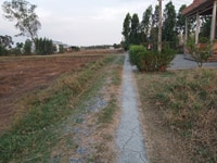 Can ban lô đất ruộng 1590m2 mat tien duong xe hoi 3m Can ban lô đất ruộng 1590m2 mat tien duong xe hoi 3m