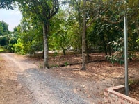Chính chủ cần bán 1.535 m2 đất CLN xã An Sơn, TP. Thuận An, Bình Chính chủ cần bán 1.535 m2 đất CLN xã An Sơn, TP. Thuận An, Bình