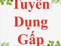 Tuyển lao động phổ thông làm việc toàn thời gian Tuyển lao động phổ thông làm việc toàn thời gian