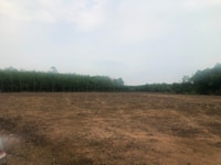 Cần bán 1000m2 đất KCN, TT Hành Chính Cần bán 1000m2 đất KCN, TT Hành Chính