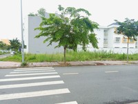 Cần Bán Đất Xây Biệt Thự Mini Phường Bình An Quận 2 Cần Bán Đất Xây Biệt Thự Mini Phường Bình An Quận 2