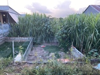 Nền Mặt tiền đường ap phu an ,xã an bình thoại sơn An Giang
Ngang 14m Nền Mặt tiền đường ap phu an ,xã an bình thoại sơn An Giang
Ngang 14m