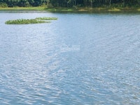 Cần bán 1000m2 - đất xây trọ ngay KCN Becamex Chơn Thành - MT đường nh Cần bán 1000m2 - đất xây trọ ngay KCN Becamex Chơn Thành - MT đường nh