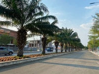Chính chủ bán gấp đất 100m2 liền kề BV Chợ Rẫy 2, có sổ hồng riêng Chính chủ bán gấp đất 100m2 liền kề BV Chợ Rẫy 2, có sổ hồng riêng