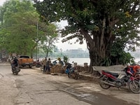 Bán nhà lô góc Phố Mai Anh Tuấn Đống Đa 38 m2, 3 tầng, mt 4.5 m Bán nhà lô góc Phố Mai Anh Tuấn Đống Đa 38 m2, 3 tầng, mt 4.5 m