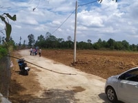 Bán đất vườn gò công tây-tg 1000m2 giá rẽ Bán đất vườn gò công tây-tg 1000m2 giá rẽ