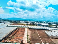 Đất ngay trung tâm thị trấn thạnh mỹ-đà Lạt Đất ngay trung tâm thị trấn thạnh mỹ-đà Lạt