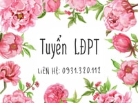 Cần tuyển 02 nhân viên bán hàng Nữ ( lao động phổ thông ) Cần tuyển 02 nhân viên bán hàng Nữ ( lao động phổ thông )
