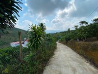 97. Bán lô đất thôn 6 trồng cà phê view đẹp 97. Bán lô đất thôn 6 trồng cà phê view đẹp