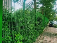 Hàng rào lưới thép hàn bẻ tam giác hai đầu TT-Roll Hàng rào lưới thép hàn bẻ tam giác hai đầu TT-Roll