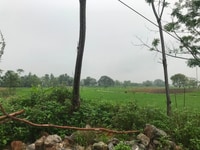 Bán đất full thổ cư mặt tiền 8m tại chương mỹ Bán đất full thổ cư mặt tiền 8m tại chương mỹ