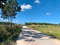 Bán mảnh vườn rộng hơn 1 sào, mặt tiền đường dẫn lên cao tốc. Bán mảnh vườn rộng hơn 1 sào, mặt tiền đường dẫn lên cao tốc.
