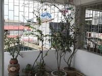 Bán nhà ngõ 521 trương định quận hoàng mai 33 m2 4 tầng cách 2 nhà Bán nhà ngõ 521 trương định quận hoàng mai 33 m2 4 tầng cách 2 nhà