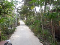 -----Đất đường huyện 90E, Mỹ Phong, Mỹ Tho----- -----Đất đường huyện 90E, Mỹ Phong, Mỹ Tho-----