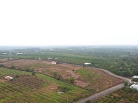 Đất Vườn Nhãn 3.5ha Mặt Tiền Bám Đường Hơn 400m Sau Suối Nước Nóng