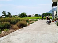 Bán đất Diên An ngay ngã tư Miếu Củ Chi, cách cafe Gió chỉ 700m Bán đất Diên An ngay ngã tư Miếu Củ Chi, cách cafe Gió chỉ 700m