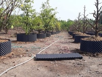 Bầu ươm cây Ecopot tặng kèm 100 ốc vít Bầu ươm cây Ecopot tặng kèm 100 ốc vít