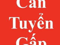 Tuyển nhân viên lao động toàn thời gian Tuyển nhân viên lao động toàn thời gian