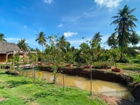 Bán nhnh lô đất biệt thự vườn cách Uỷ ban xã Qưới Sơn chỉ 800m Bán nhnh lô đất biệt thự vườn cách Uỷ ban xã Qưới Sơn chỉ 800m
