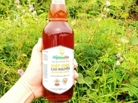 Bán mật ong cao nguyên hoàn toàn thiên nhiên, chai 500ml Bán mật ong cao nguyên hoàn toàn thiên nhiên, chai 500ml