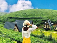 Cần ra lô đất đẹp giá rẻ view đẹp tp bảo lộc Cần ra lô đất đẹp giá rẻ view đẹp tp bảo lộc