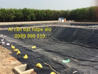 Bạt Hdpe 0.5Mm Khổ 4M,5M,6M Lót Ao Hồ, Chăn Nuôi Thủy Hải Sản Rẻ Nhất Bạt Hdpe 0.5Mm Khổ 4M,5M,6M Lót Ao Hồ, Chăn Nuôi Thủy Hải Sản Rẻ Nhất