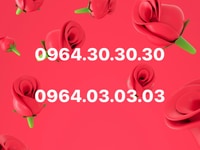 Bán SIM số đẹp Taxi, gánh đảo tặng điện thoại Bán SIM số đẹp Taxi, gánh đảo tặng điện thoại