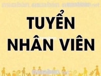 Siêu thị tiện lợi cần tuyển các bộ phận sau Siêu thị tiện lợi cần tuyển các bộ phận sau