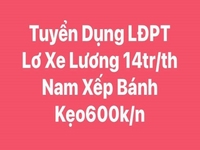 Đồng Nai Tuyển tài xế - phụ xe - bốc xếp hàng lương 14tr/ tháng Đồng Nai Tuyển tài xế - phụ xe - bốc xếp hàng lương 14tr/ tháng