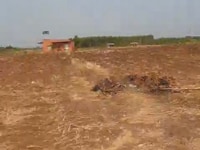 Bán lô đất 1,5Ha đường xe tải xã Xuân Đông, Cẩm Mỹ Bán lô đất 1,5Ha đường xe tải xã Xuân Đông, Cẩm Mỹ