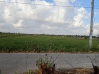Bán đất khu vực gò công đông tiền giang Bán đất khu vực gò công đông tiền giang