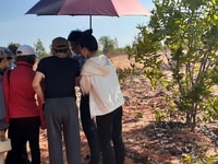 Chỉ còn 2 sào đất CLN gần đường ra vô Sân Bay Phan Thiết Chỉ còn 2 sào đất CLN gần đường ra vô Sân Bay Phan Thiết