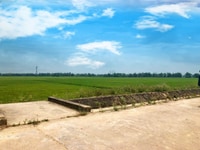 Hơn 300m2 đường 5m giá chỉ 8xx , view cánh đồng mát mẻ,xanh sạch đep Hơn 300m2 đường 5m giá chỉ 8xx , view cánh đồng mát mẻ,xanh sạch đep