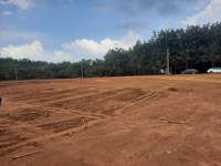 Đất nền xã Tân Phước, Đồng Phú, tỉnh Bình Phước, có sổ sẵn, giá rẻ Đất nền xã Tân Phước, Đồng Phú, tỉnh Bình Phước, có sổ sẵn, giá rẻ